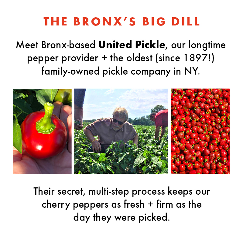 THE BRONX'S BIG DILL